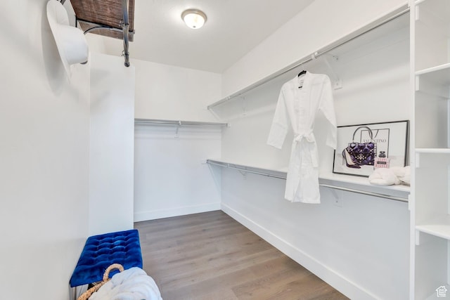 walk in closet with wood finished floors