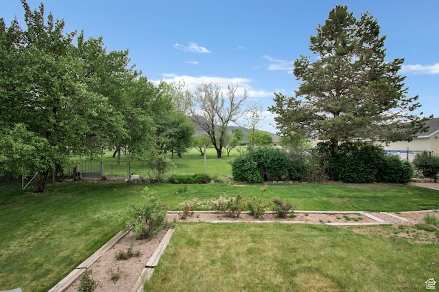 view of yard