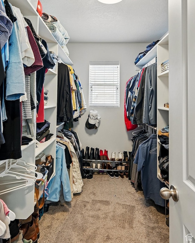 walk in closet with carpet