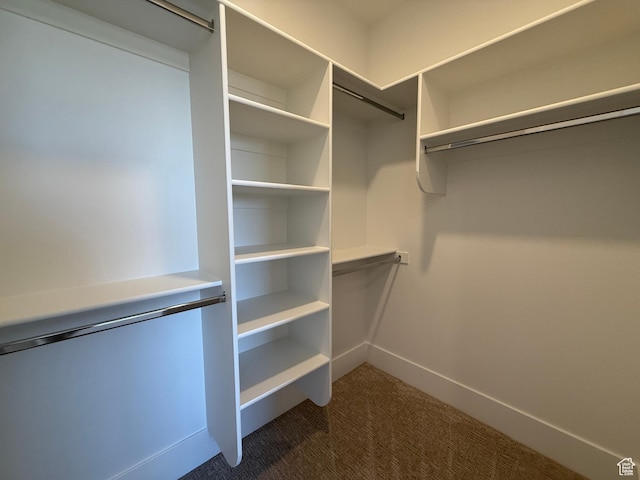 spacious closet with dark colored carpet