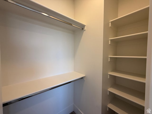 view of walk in closet
