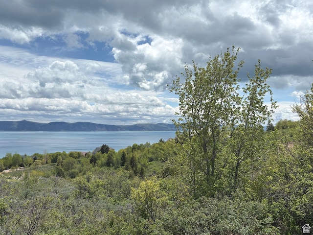 496 Hickock Dr Unit 273, Fish Haven, ID 83287