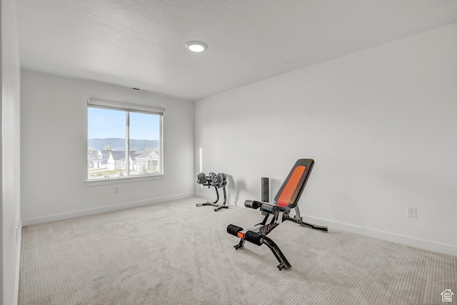 exercise area featuring baseboards and carpet