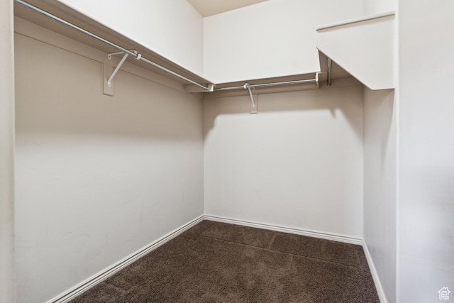 417 E Stonehedge Cir, Washington, UT 84780 - walk in closet with carpet flooring