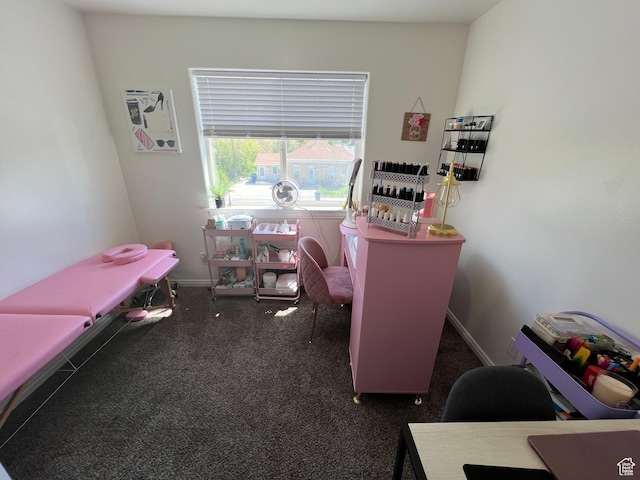 home office featuring carpet flooring and baseboards