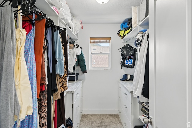 spacious closet featuring light colored carpet
