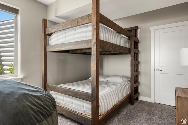 68 Hawksbeard Cir, Fish Haven, ID 83287 - bedroom with carpet floors and multiple windows