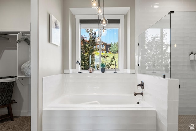 68 Hawksbeard Cir, Fish Haven, ID 83287 - bathroom with a bath, a stall shower, and a walk in closet