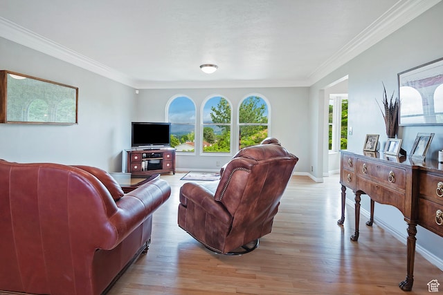 193 Coventry Ln, North Salt Lake, UT 84054 - living room with light wood-style floors, crown molding, and baseboards