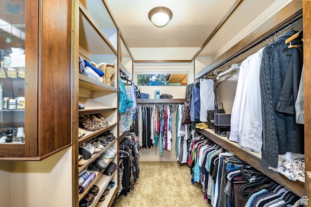 373 W Meridian Dr, Ivins, UT 84738 - spacious closet featuring carpet flooring