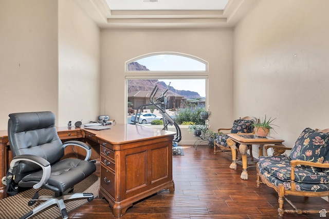 373 W Meridian Dr, Ivins, UT 84738 - office space featuring dark wood-style flooring and a raised ceiling