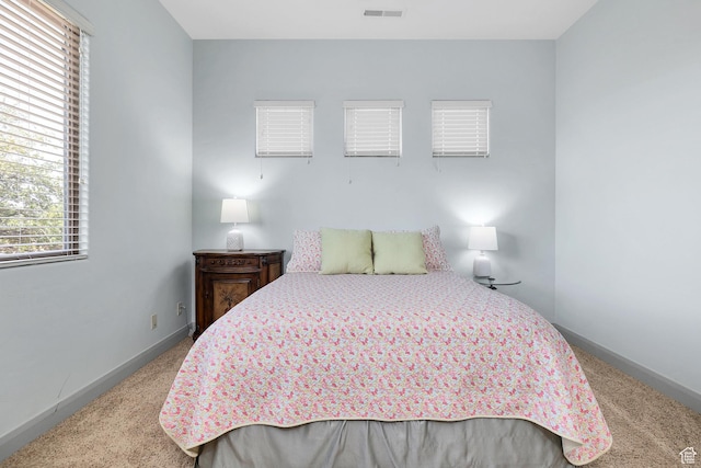 373 W Meridian Dr, Ivins, UT 84738 - bedroom with carpet