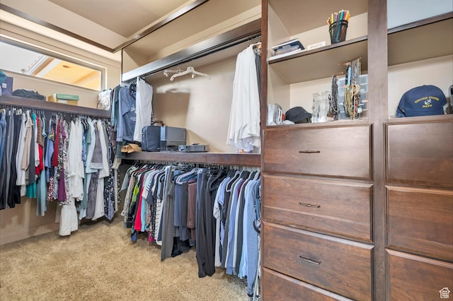 373 W Meridian Dr, Ivins, UT 84738 - walk in closet featuring carpet flooring