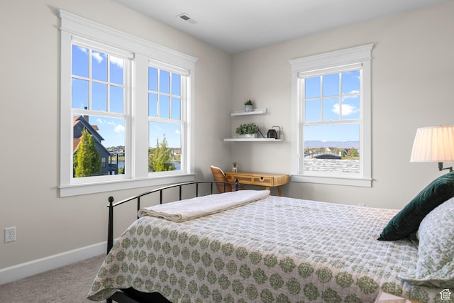 bedroom with carpet, multiple windows, and baseboards