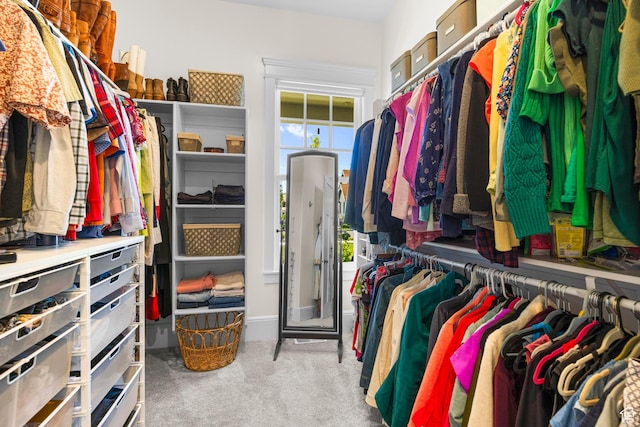 walk in closet featuring carpet floors