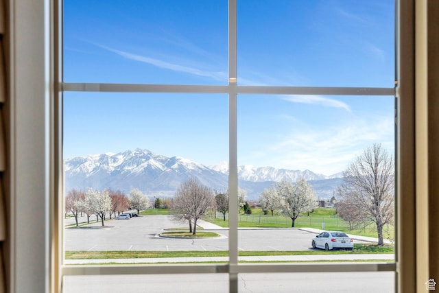 detailed view of a mountain view