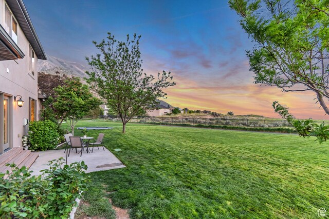 view of grassy yard featuring a patio area