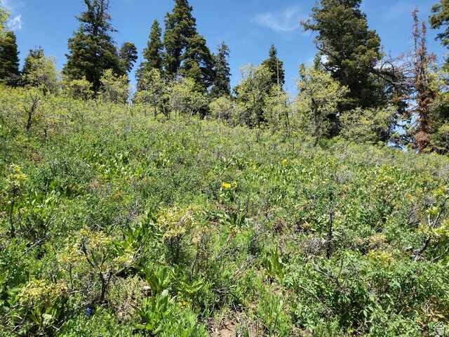 1920 W Elk Rd Unit 78, Wanship, UT 84017 - photo 22