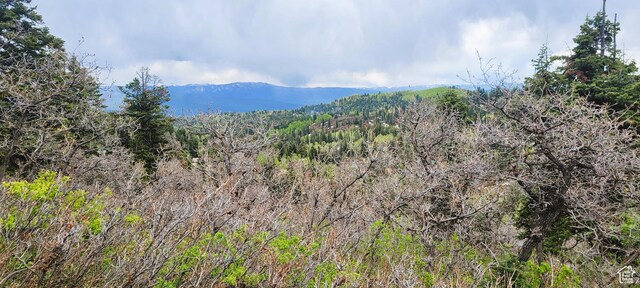 1920 W Elk Rd Unit 78, Wanship, UT 84017 - photo 11