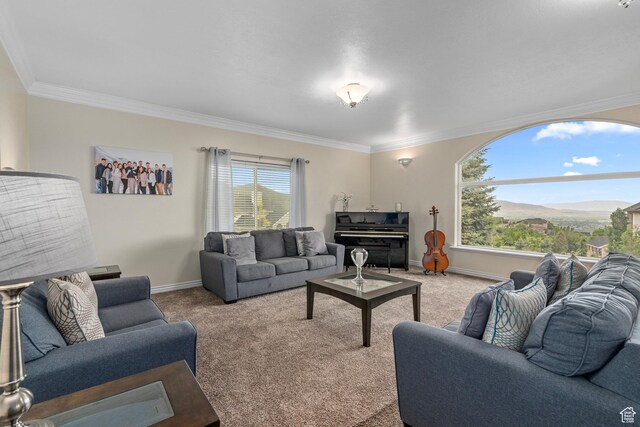 living area with crown molding, carpet floors, and baseboards