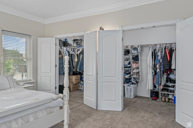 bedroom featuring crown molding, carpet, and a spacious closet