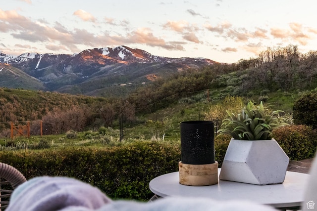 2000 W Red Hawk Trl, Park City, UT 84098 - view of mountain backdrop featuring a forest