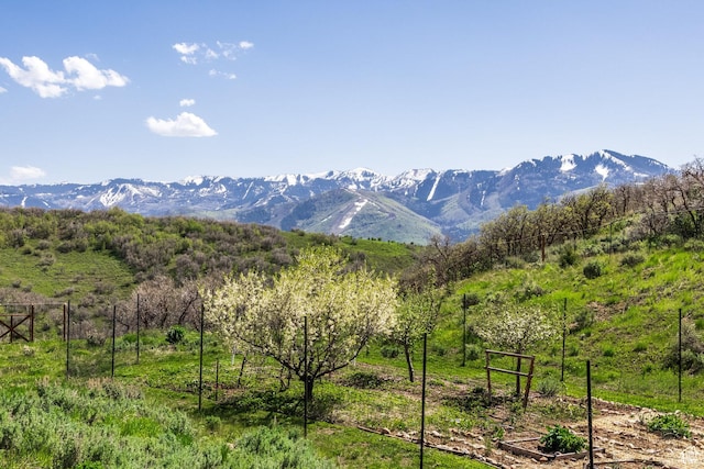 2000 W Red Hawk Trl, Park City, UT 84098 - mountain view