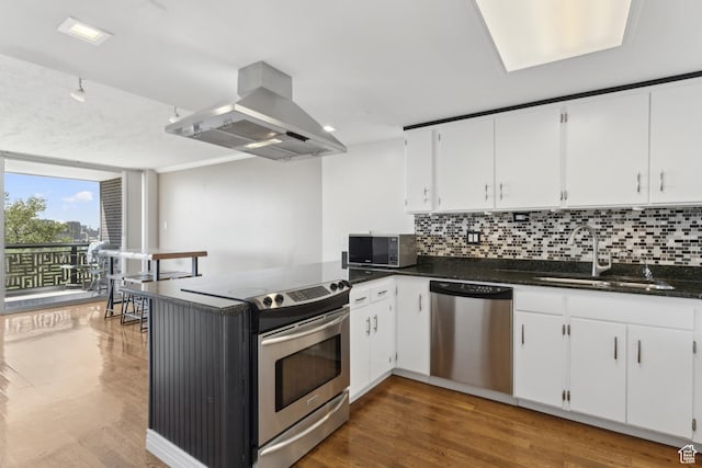515 S 1000 E Unit 202, Salt Lake City, UT 84102 - kitchen with appliances with stainless steel finishes, a sink, island range hood, backsplash, and expansive windows