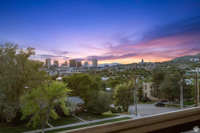 515 S 1000 E Unit 202, Salt Lake City, UT 84102 - view of city