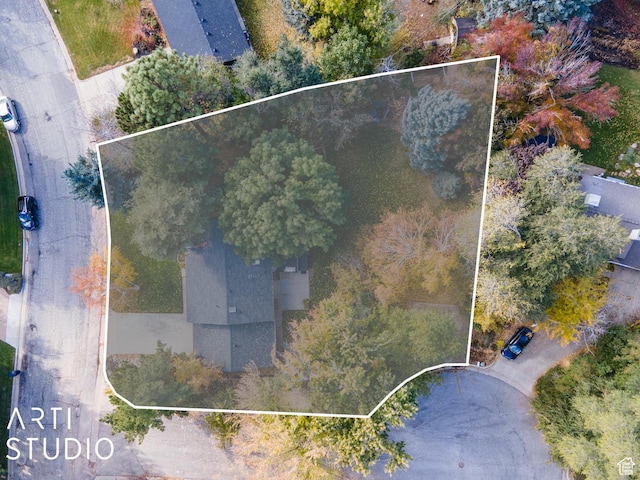 384 W 4200 N, Pleasant View, UT 84414 - view of property location featuring property boundaries highlighted