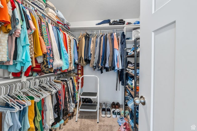 305 E 330 N, Vineyard, UT 84059 - spacious closet featuring carpet