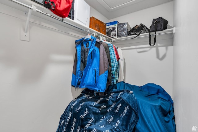 view of spacious closet