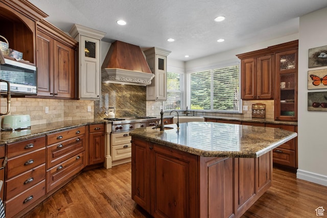 kitchen featuring premium range hood, a sink, appliances with stainless steel finishes, dark wood finished floors, and dark stone countertops