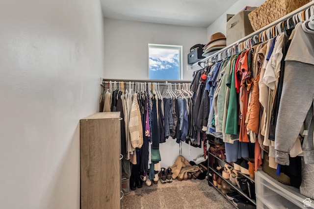 walk in closet featuring carpet