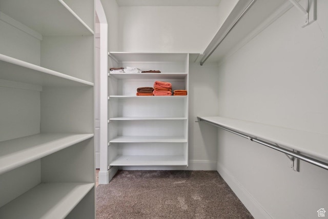 spacious closet featuring dark carpet