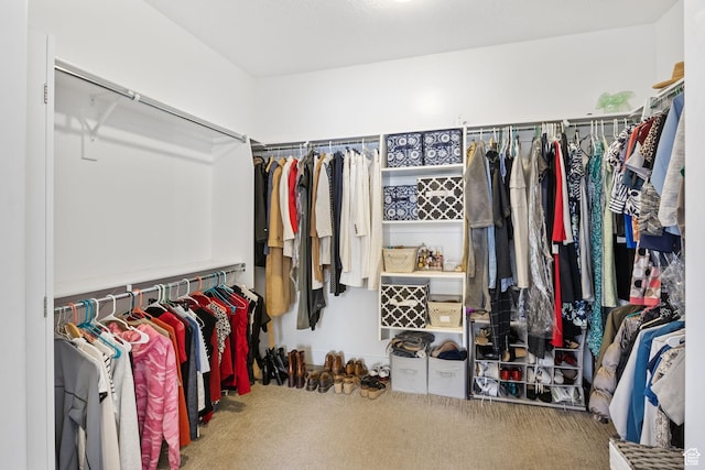 spacious closet featuring carpet
