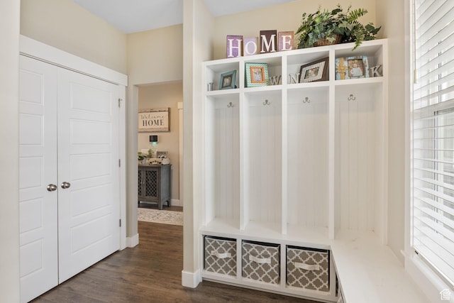 mudroom with dark wood-type flooring