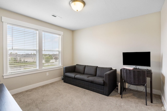 office area featuring baseboards and carpet floors