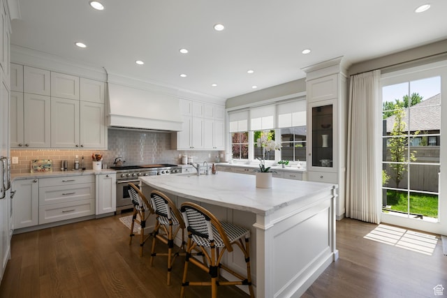kitchen with custom exhaust hood, stainless steel range, dark wood-type flooring, decorative backsplash, and an island with sink