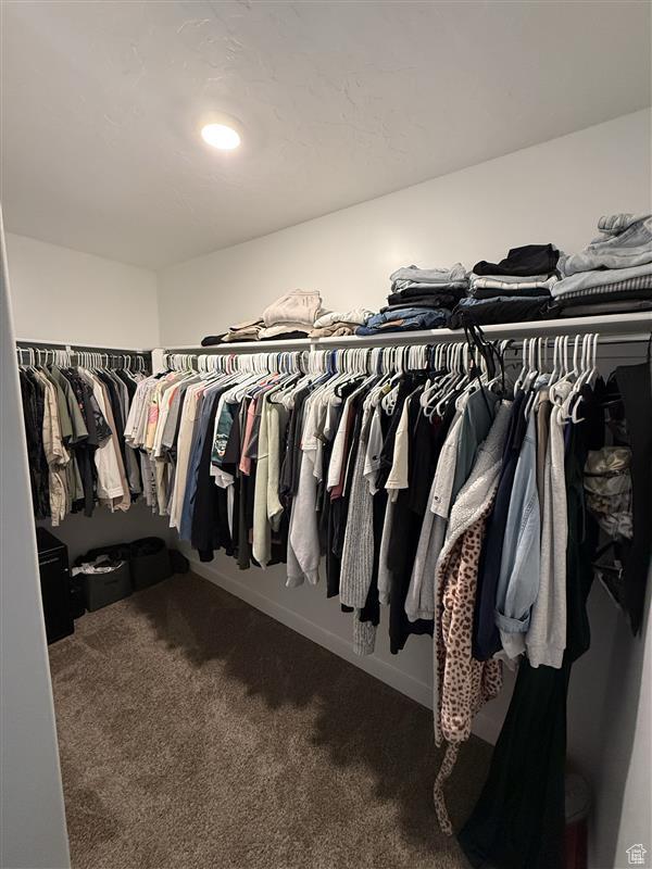 311 S 1130 W Unit 24, American Fork, UT 84003 - walk in closet featuring carpet floors
