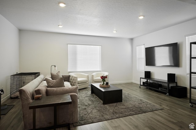 311 S 1130 W Unit 24, American Fork, UT 84003 - living room with wood finished floors, baseboards, and recessed lighting