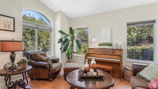 1776 E Horizon Point Cir, Draper, UT 84020 - sitting room featuring light wood-style flooring and lofted ceiling