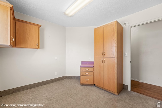 1688 N 175 W, Cedar City, UT 84721 - unfurnished bedroom featuring carpet flooring, baseboards, a closet, and a textured ceiling