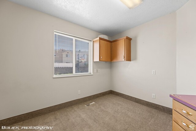 1688 N 175 W, Cedar City, UT 84721 - carpeted spare room featuring a textured ceiling and baseboards
