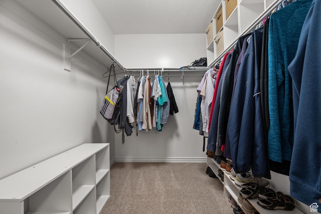 spacious closet with carpet