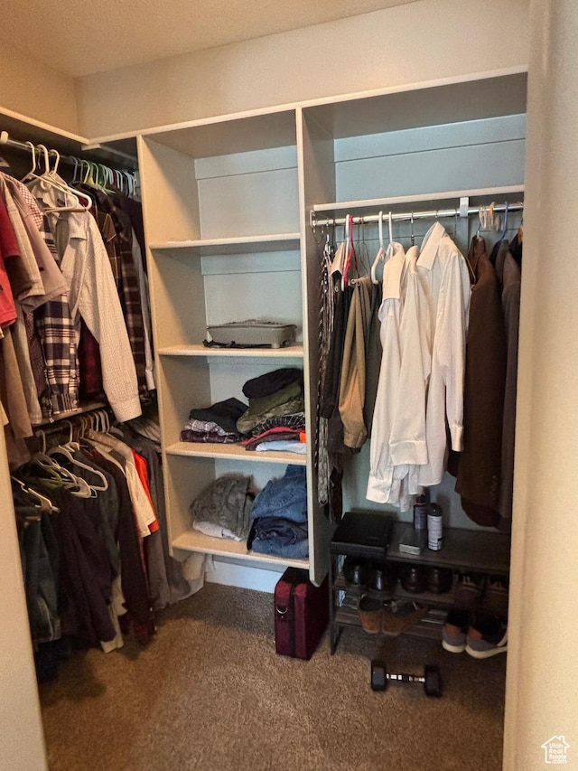 1522 S 1100 E, Spanish Fork, UT 84660 - spacious closet featuring carpet