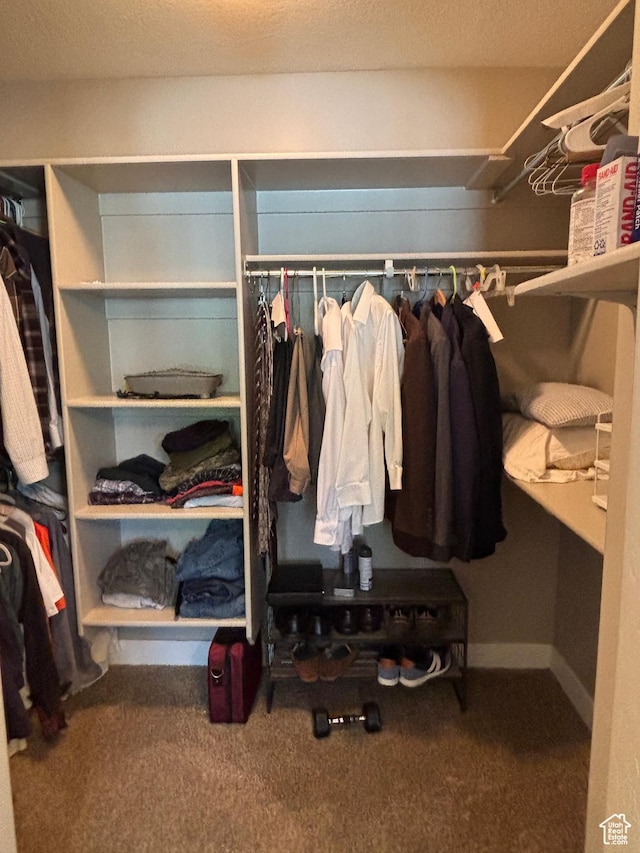 1522 S 1100 E, Spanish Fork, UT 84660 - spacious closet with carpet flooring