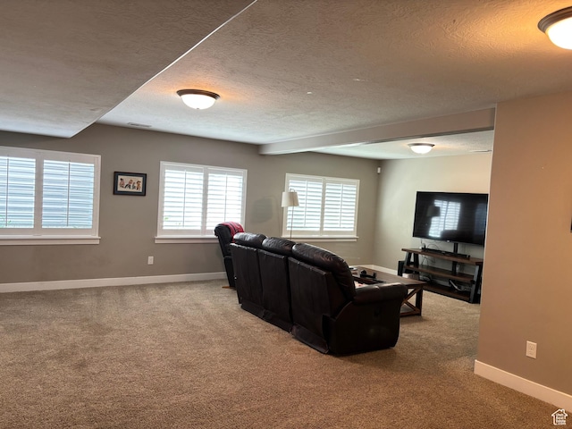 1522 S 1100 E, Spanish Fork, UT 84660 - living area with carpet, a textured ceiling, and baseboards