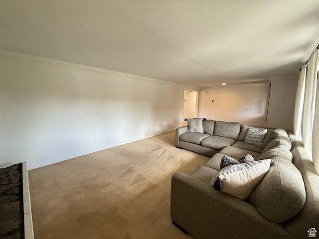 living room with carpet flooring, crown molding, and baseboards