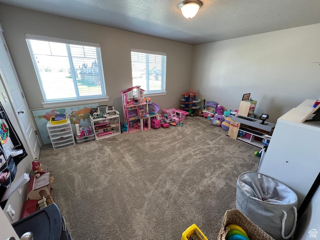 1297 W 450 N, Springville, UT 84663 - recreation room featuring carpet and a textured ceiling